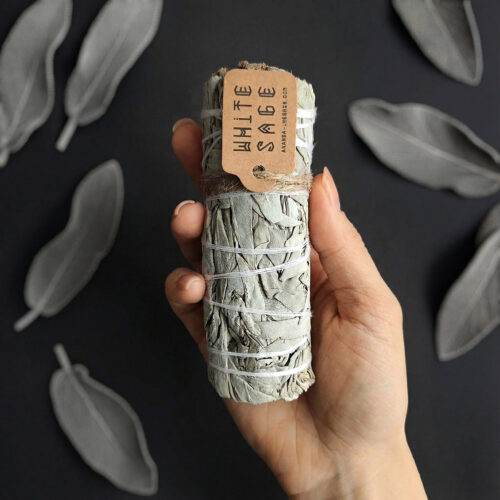 Каліфорнійська БІЛА ШАВЛІЯ (White Sage)