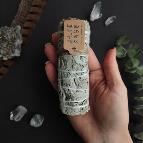 Каліфорнійська БІЛА ШАВЛІЯ (White Sage)