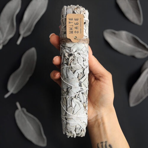 Біла шавлія «GIANT» (18 см)